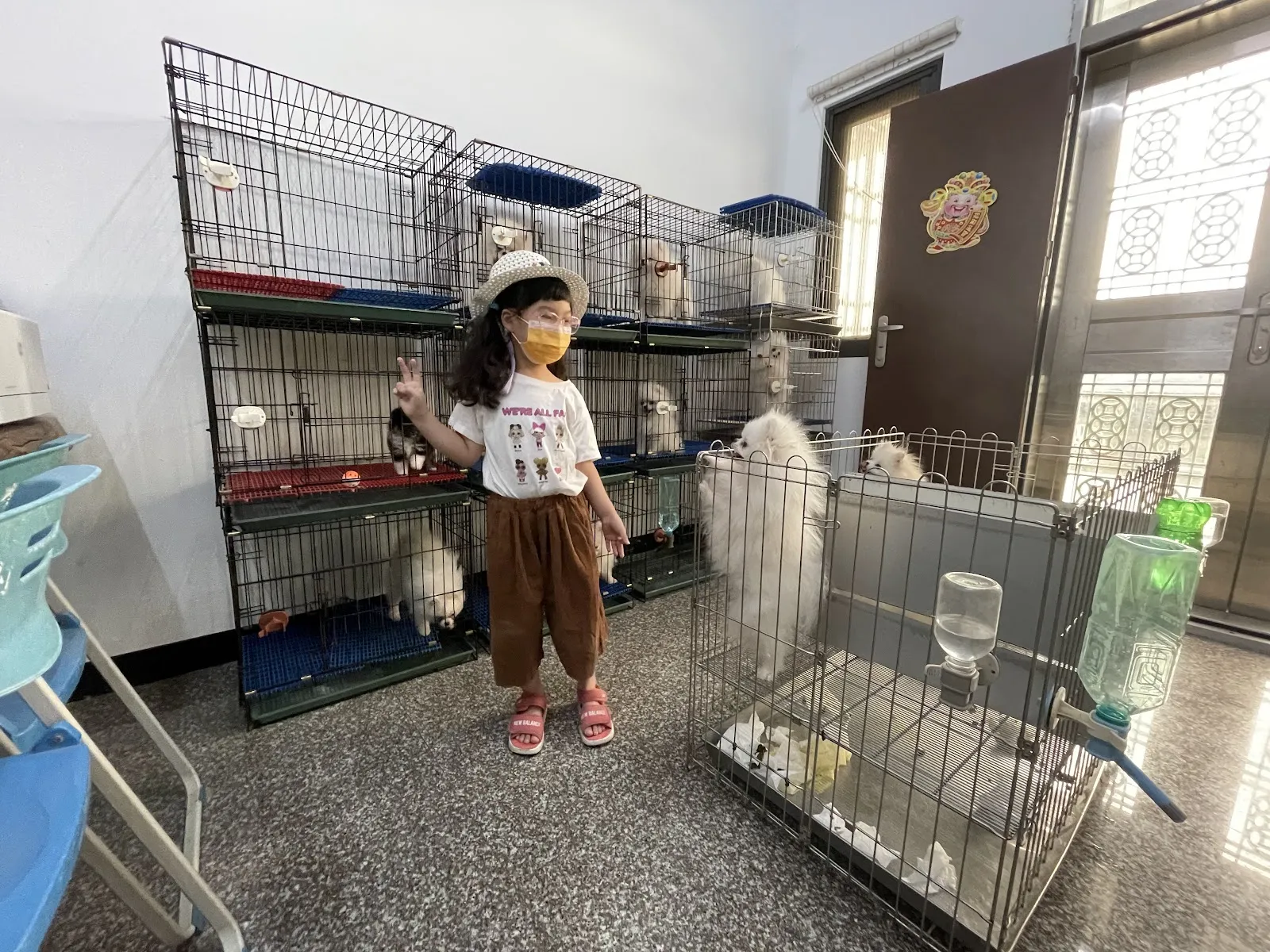 林國隆博美犬舍