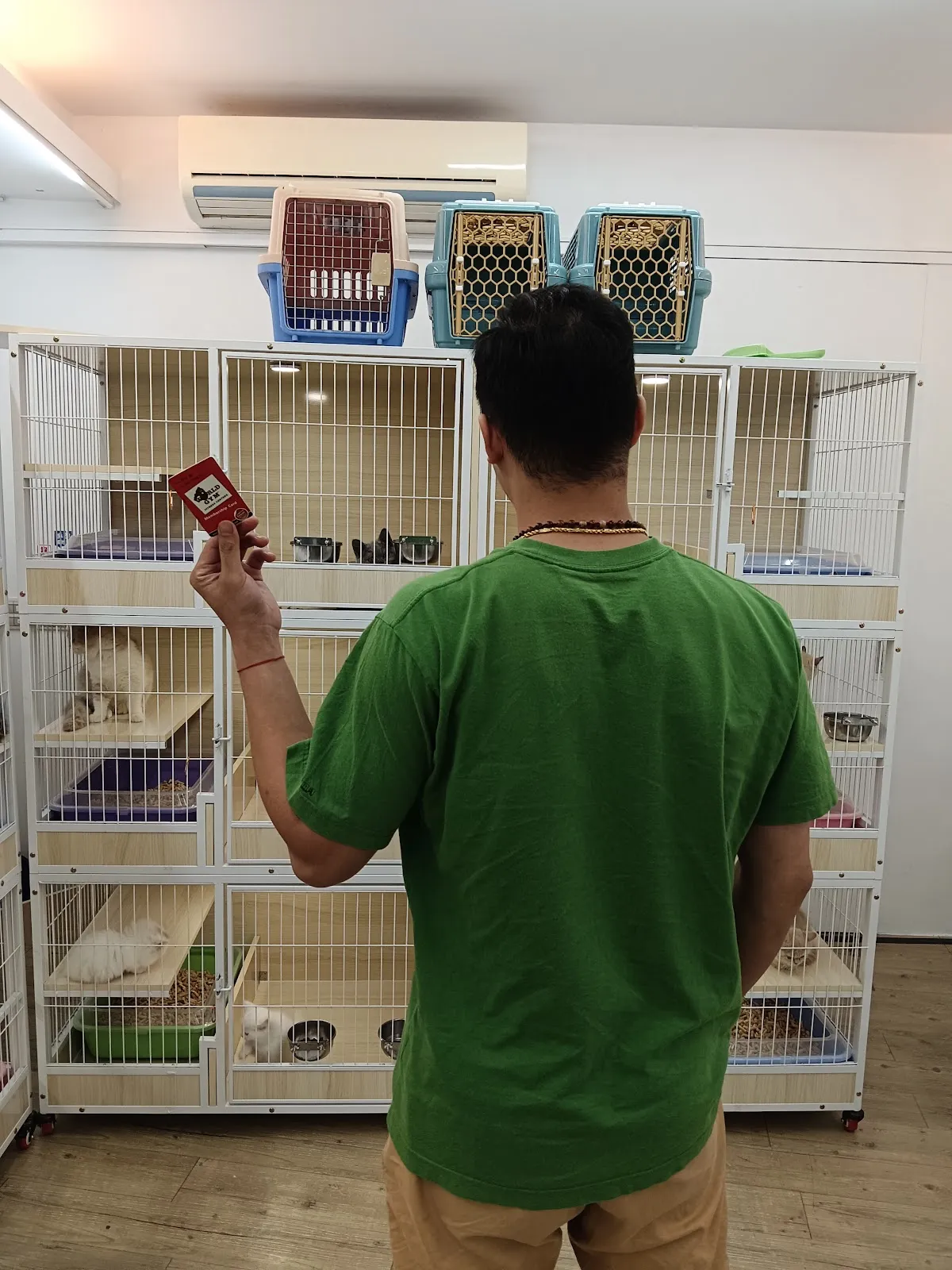 昕萬寵物工作坊