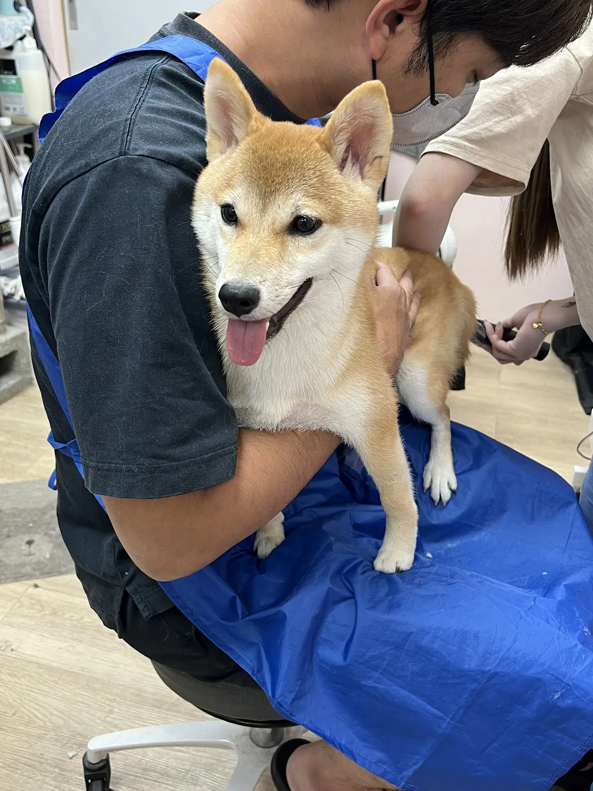 無二寵物美容工作室