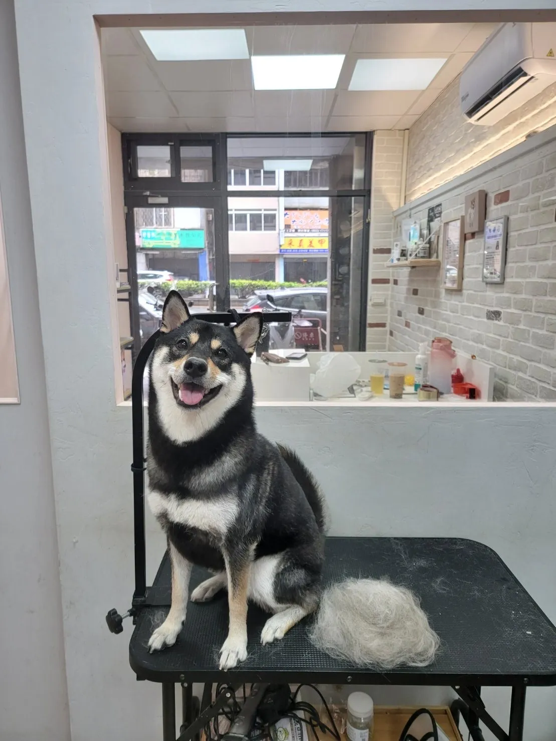 無二寵物美容工作室