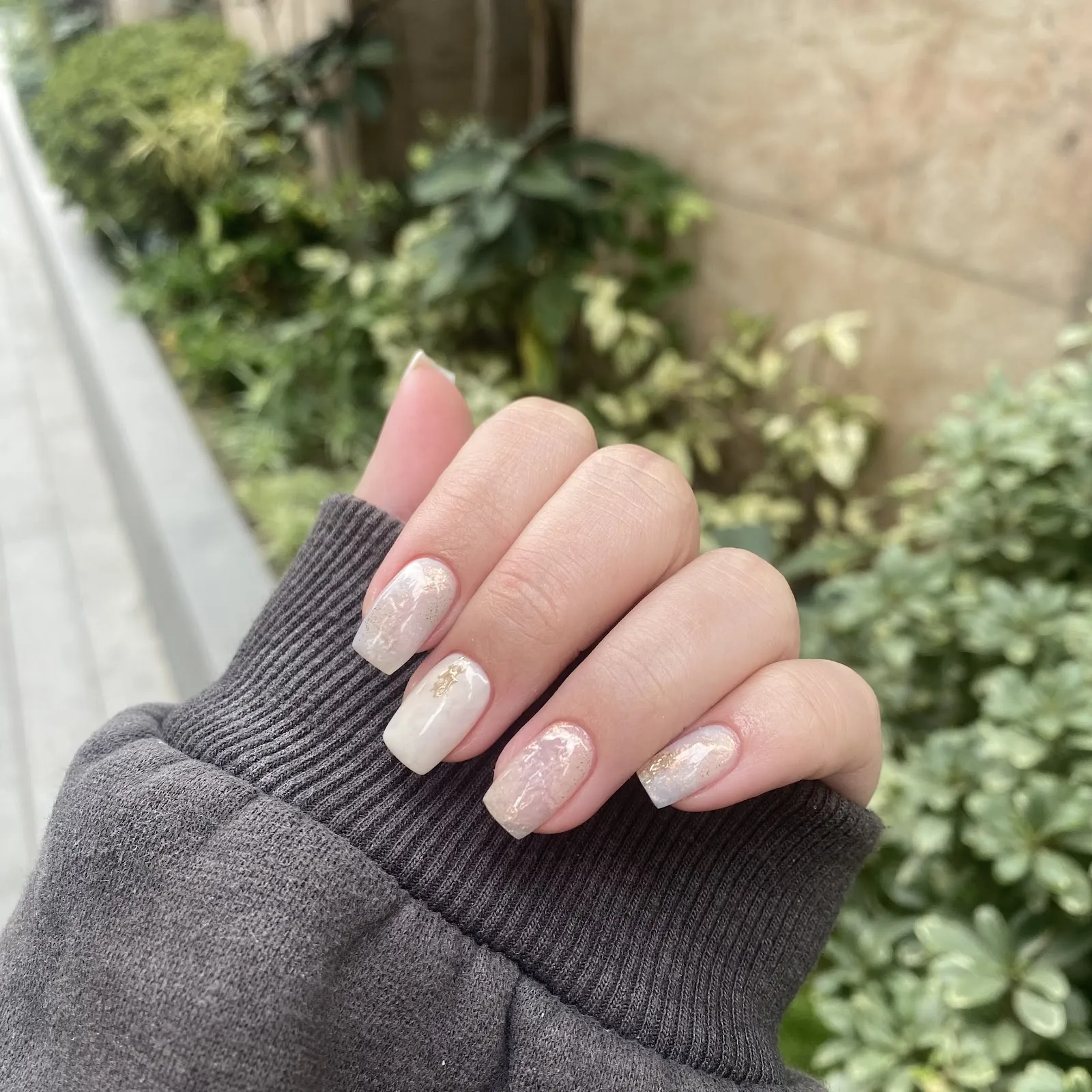 卡米莉亞工作室