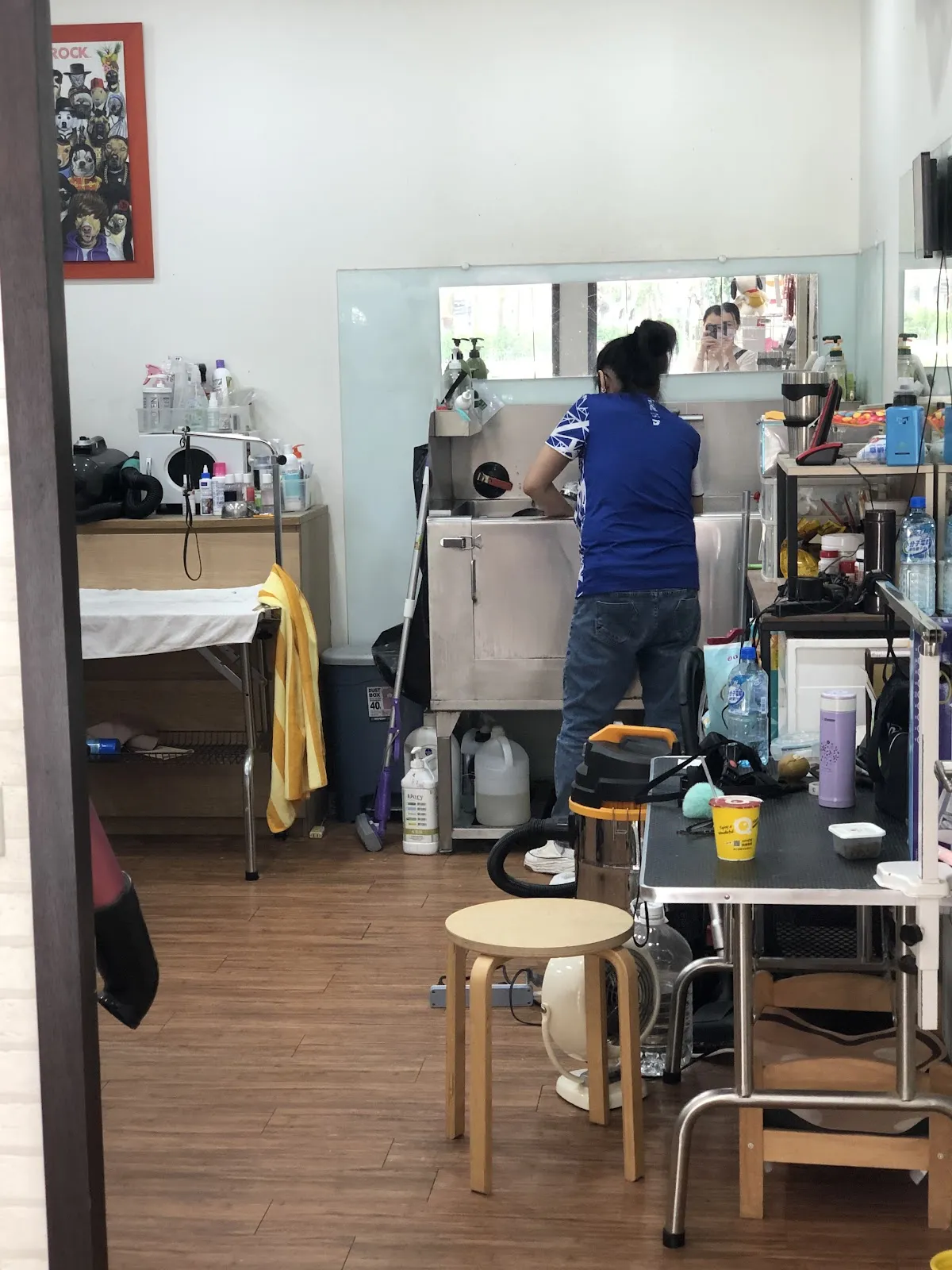 涵禹寵物工作室