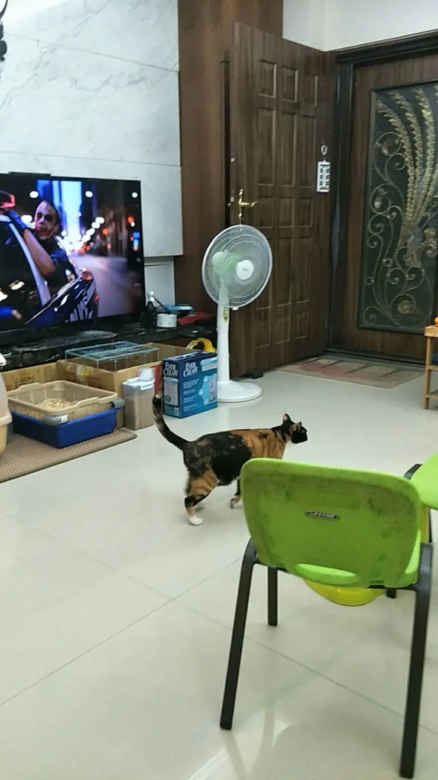 布寶窩貓咪居家民宿