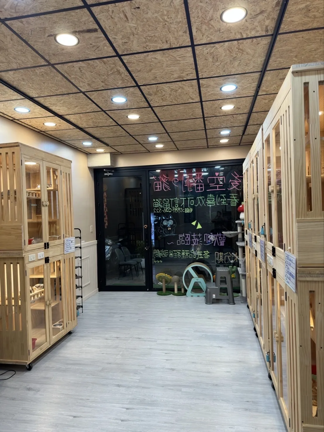 後空翻的貓貓舍