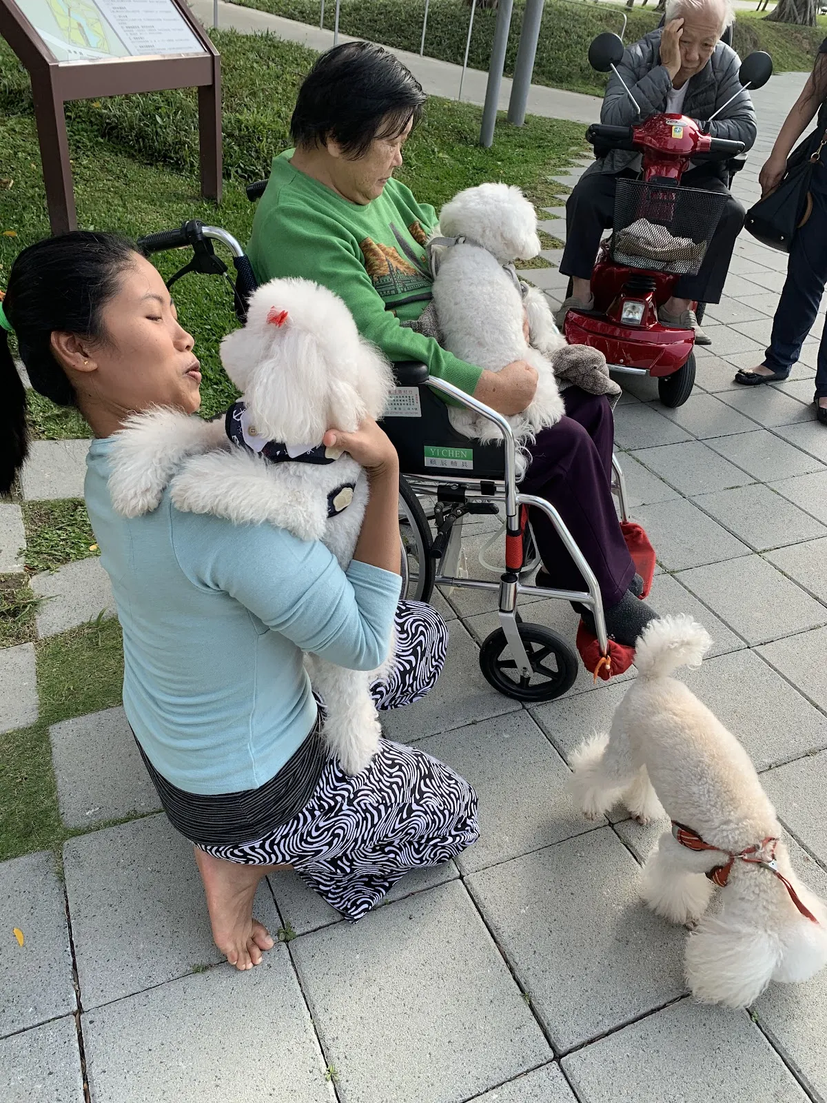 靈犬寶貝寵物店