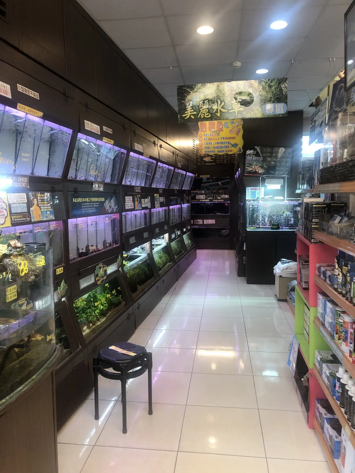 親穎水族設計館