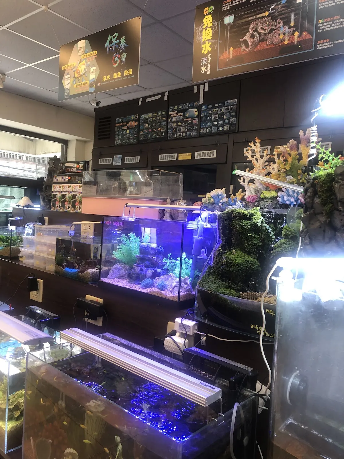 親穎水族設計館