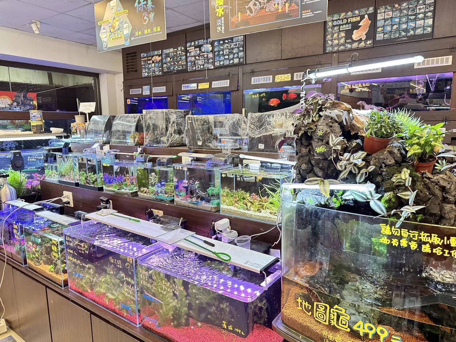 親穎水族設計館