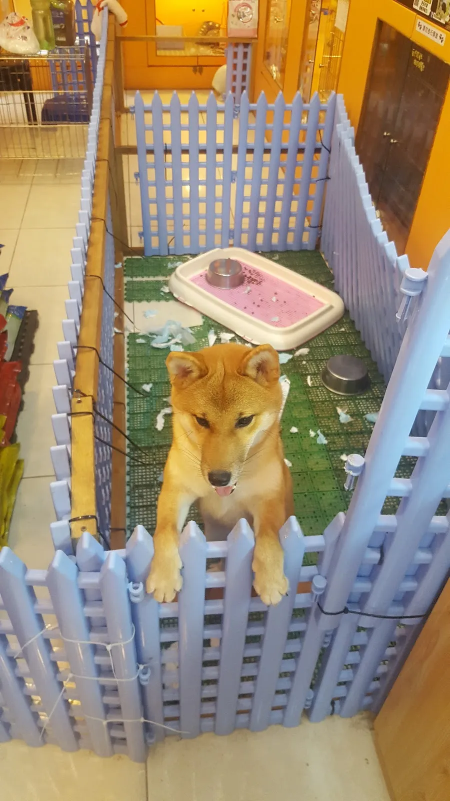 親穎水族設計館