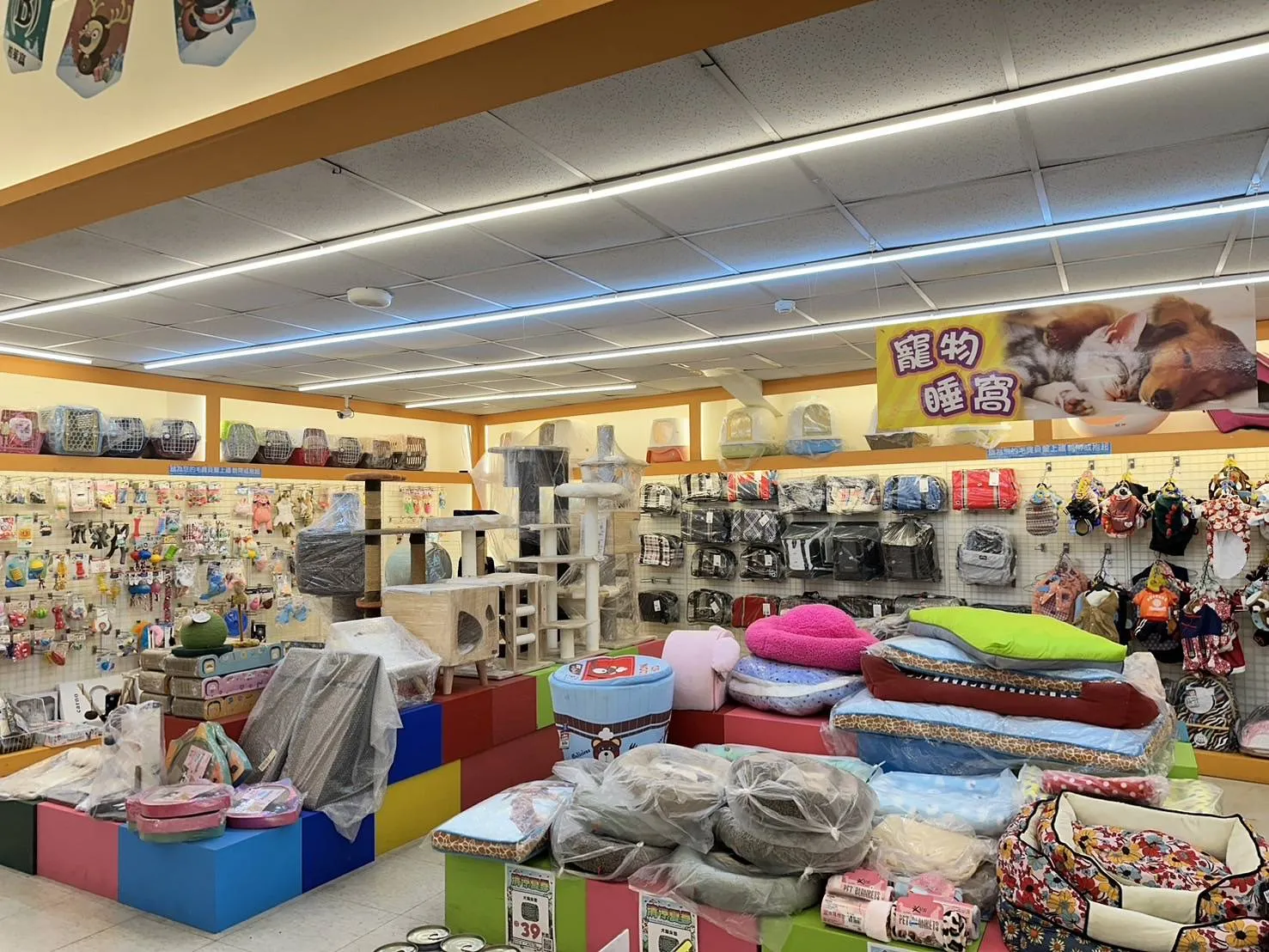 親穎水族設計館