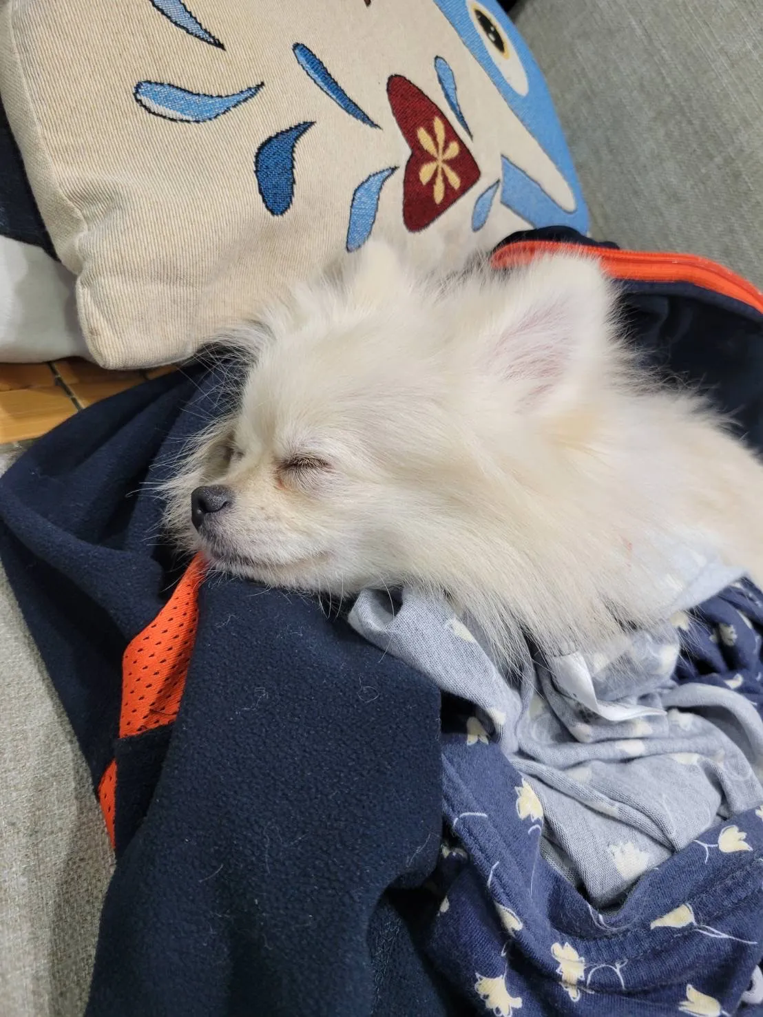 綠棧道寵物旅館沙龍