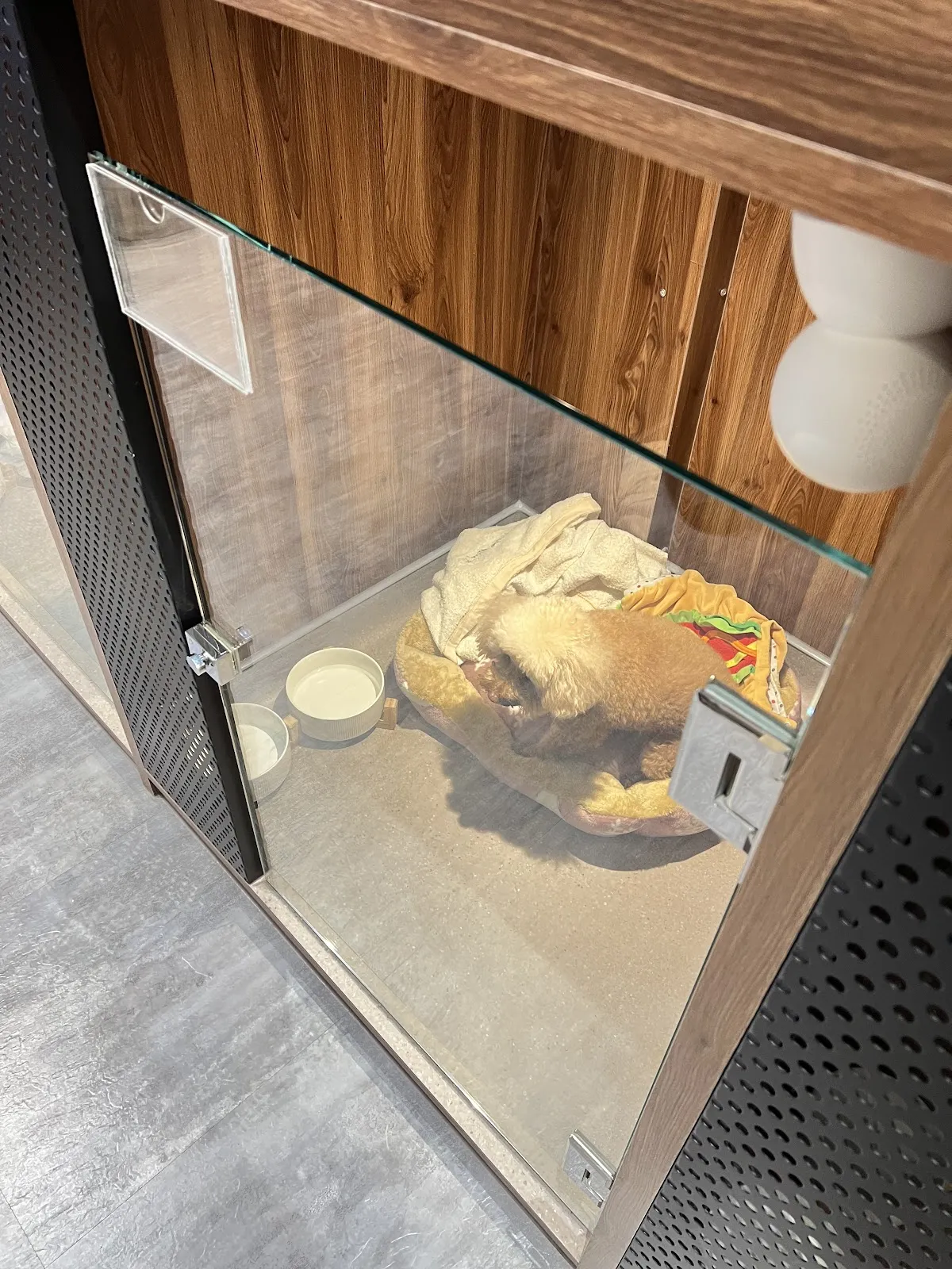 綠棧道寵物旅館沙龍