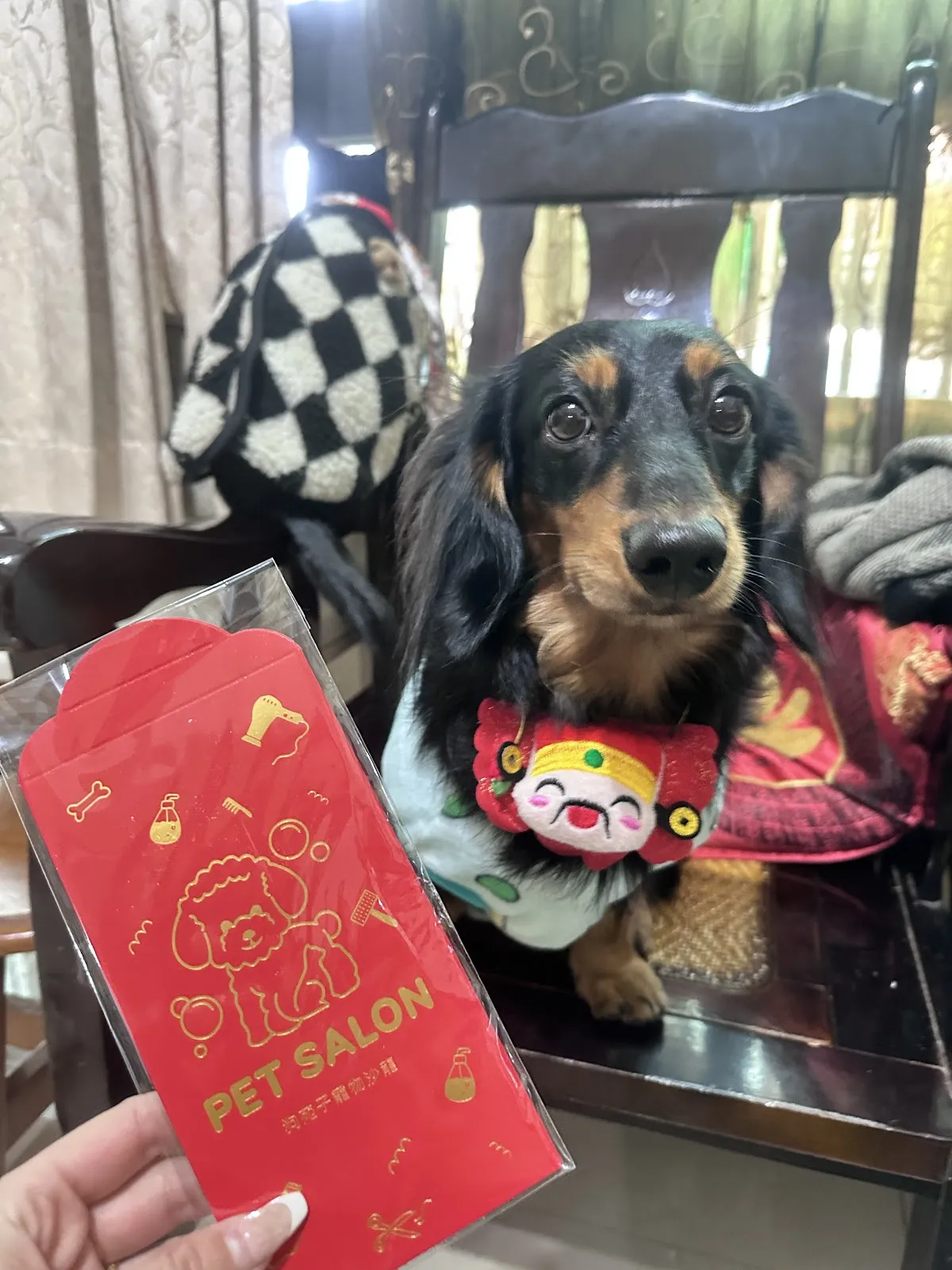 狗苑子寵物沙龍