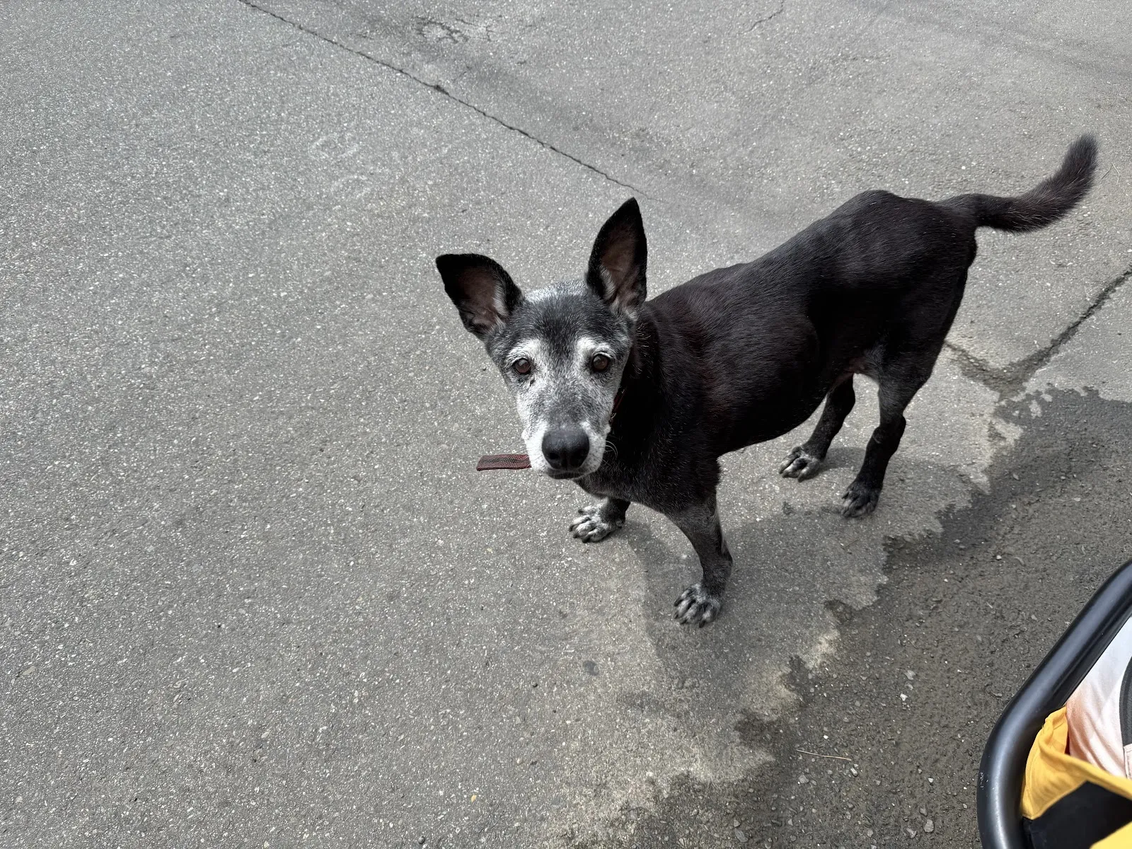 花繆繆寵物生活館