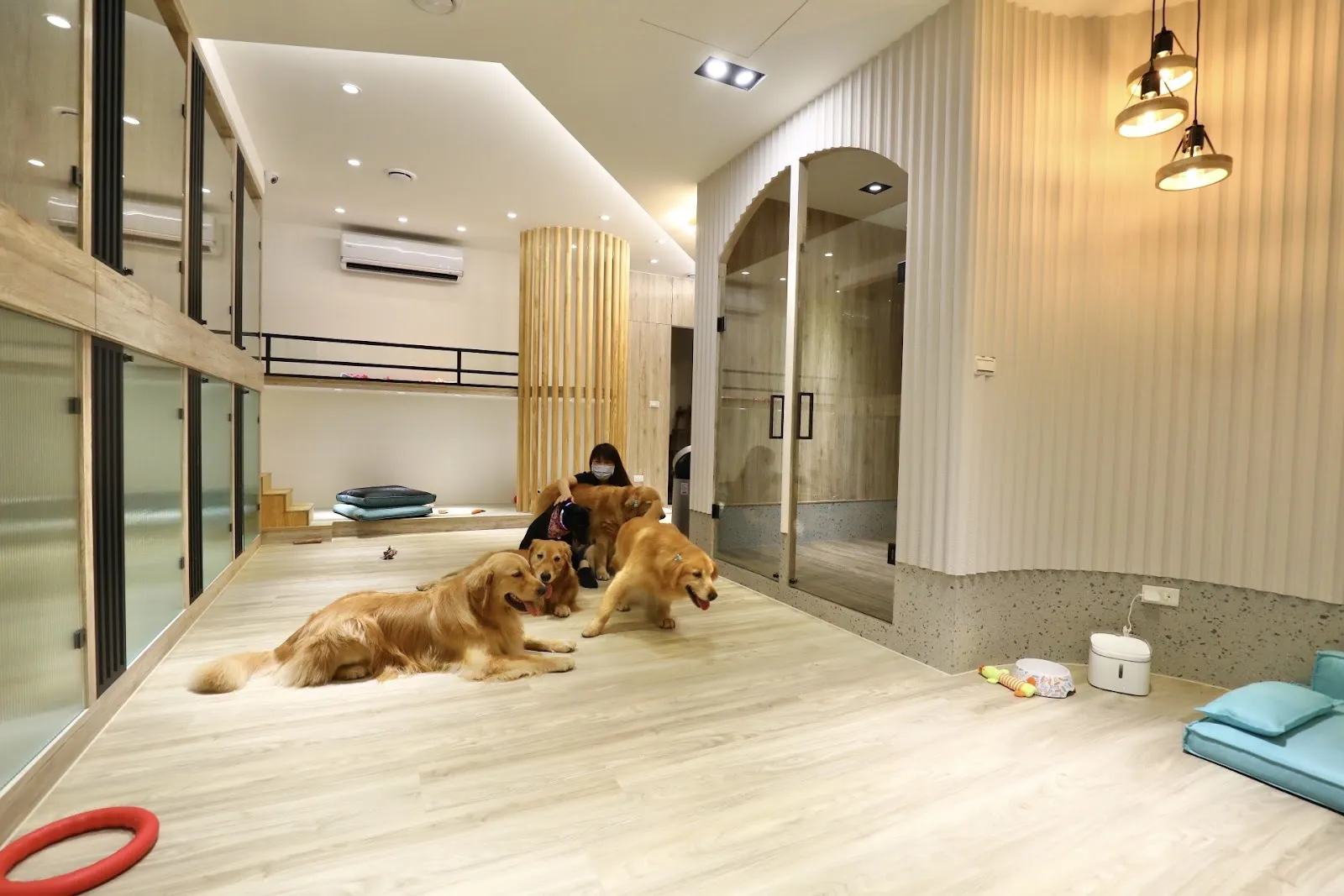 捲尾巴寵物旅店