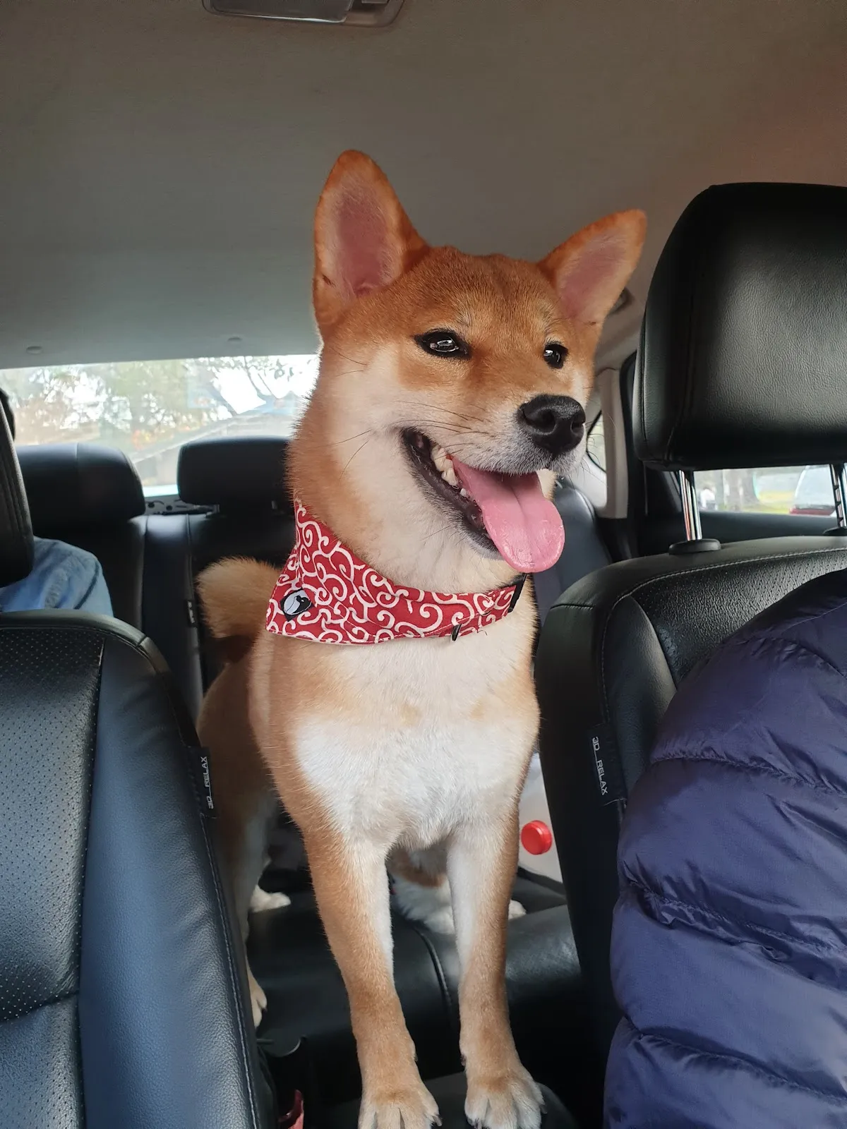 阿布寵物生活館