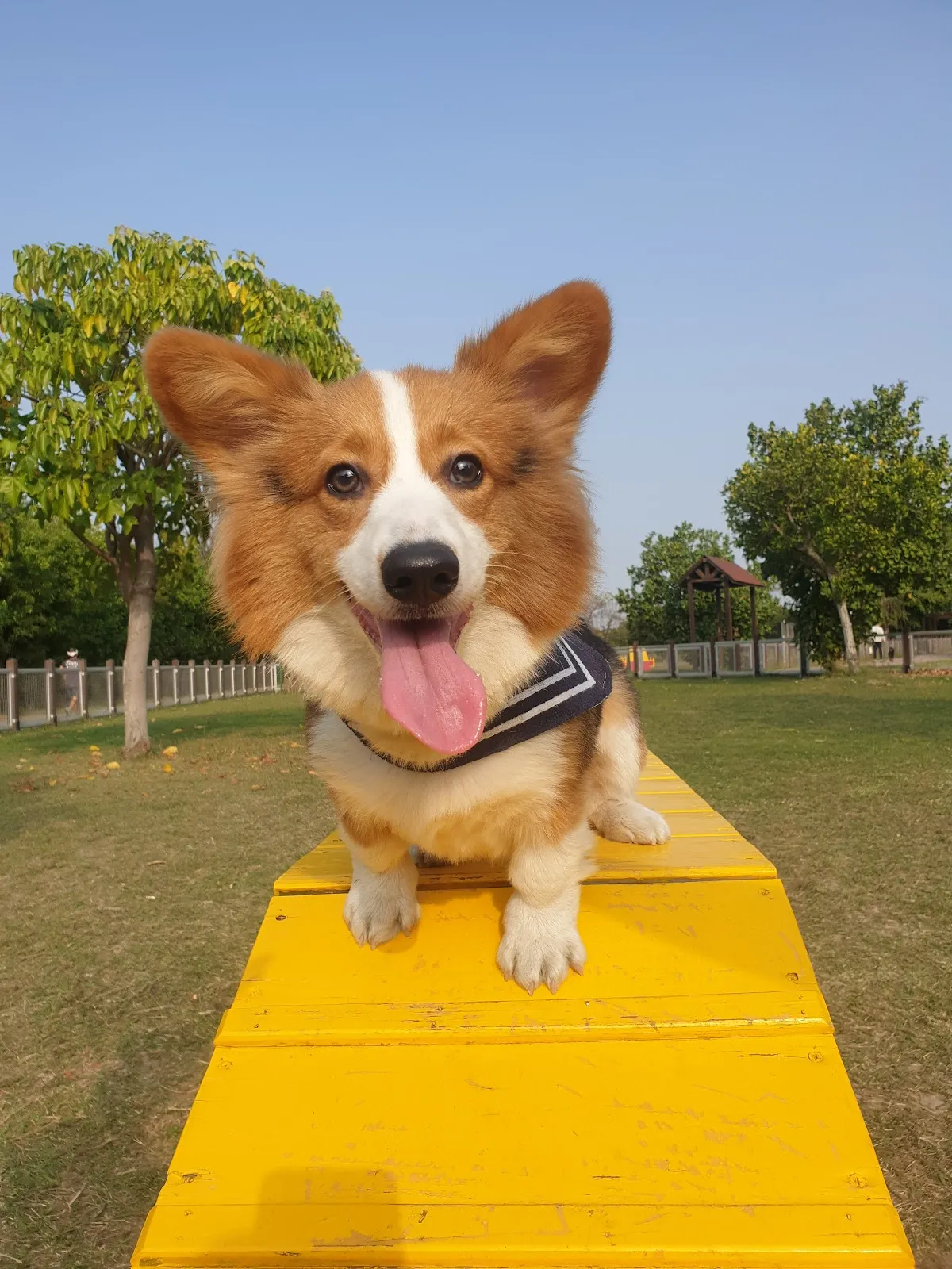 阿布寵物生活館