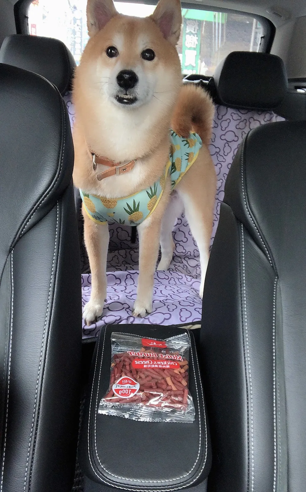 阿布寵物生活館