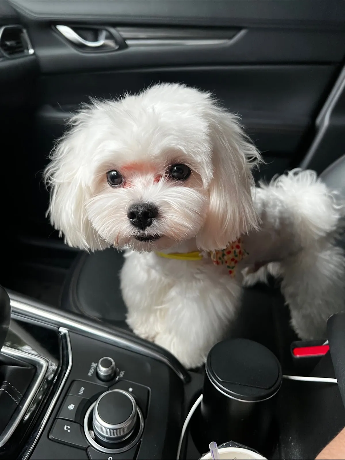 啵好寵物生活館