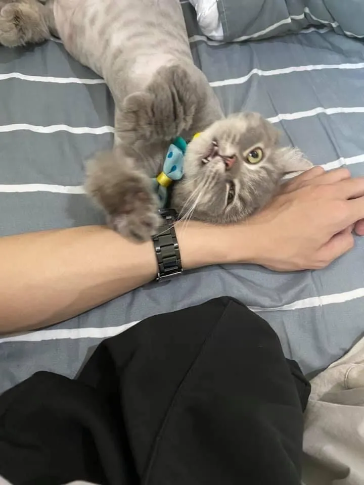 寵愛窩寵物美容館