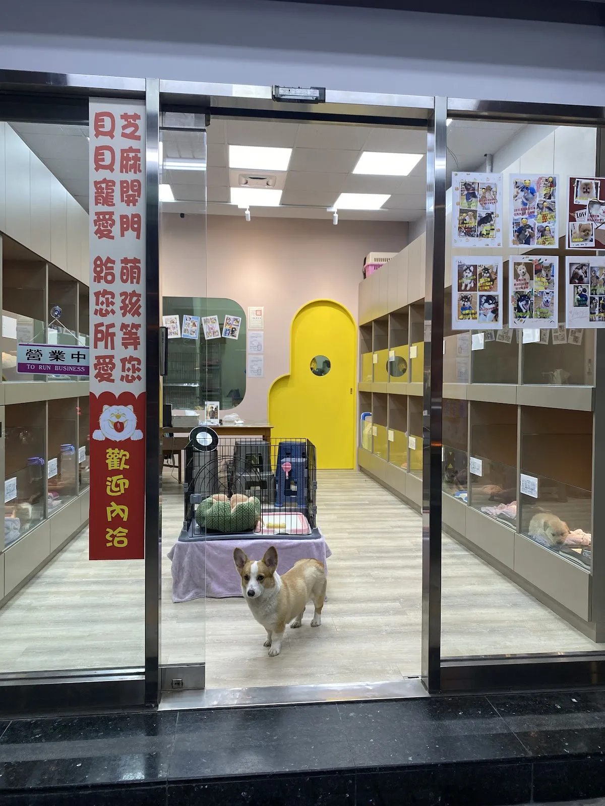 珈貝寵物店