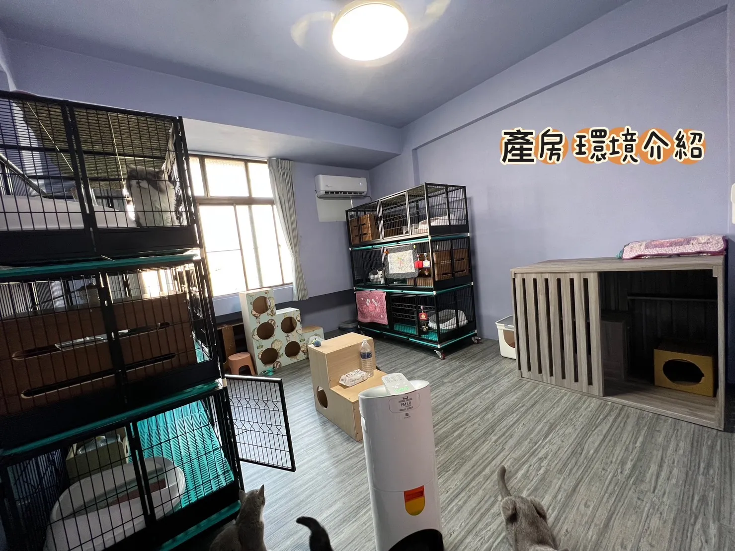 阿寶貝貝喵喵小舖