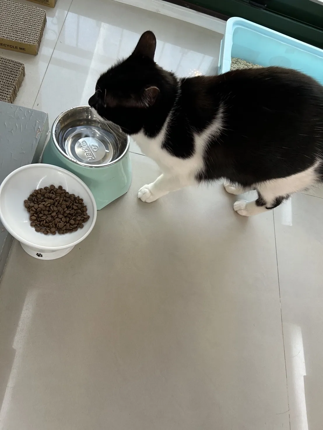 私房貓旅堂有限公司