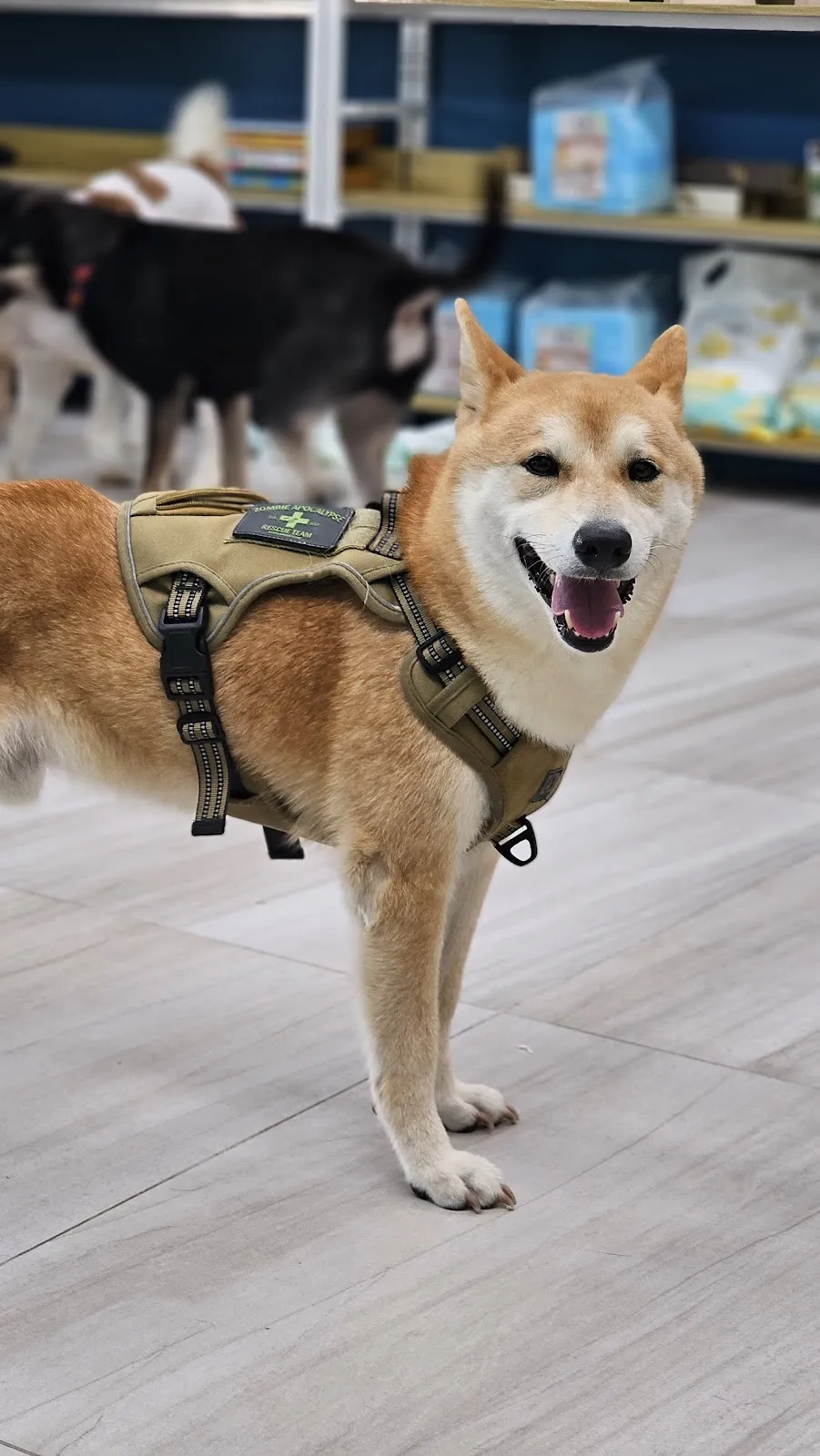 旅樂寵物事業工作室