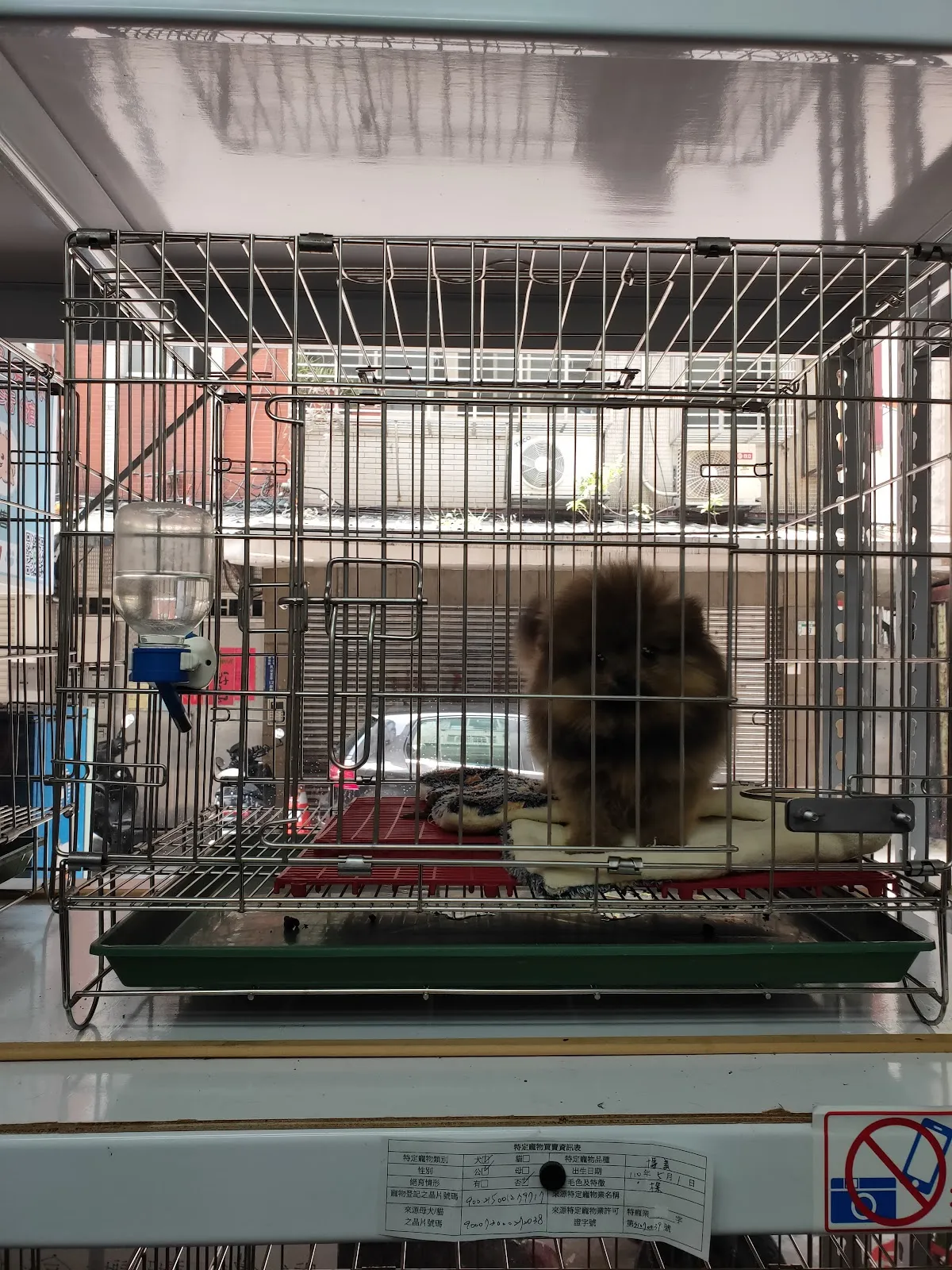 嘟嘟好遇見你寵物生活館