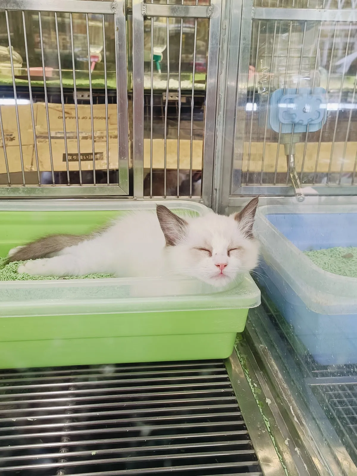 優逗寵物水族量販