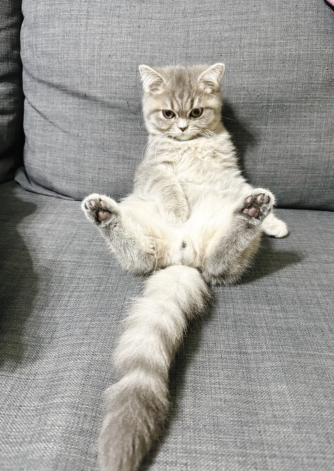 優逗寵物水族量販