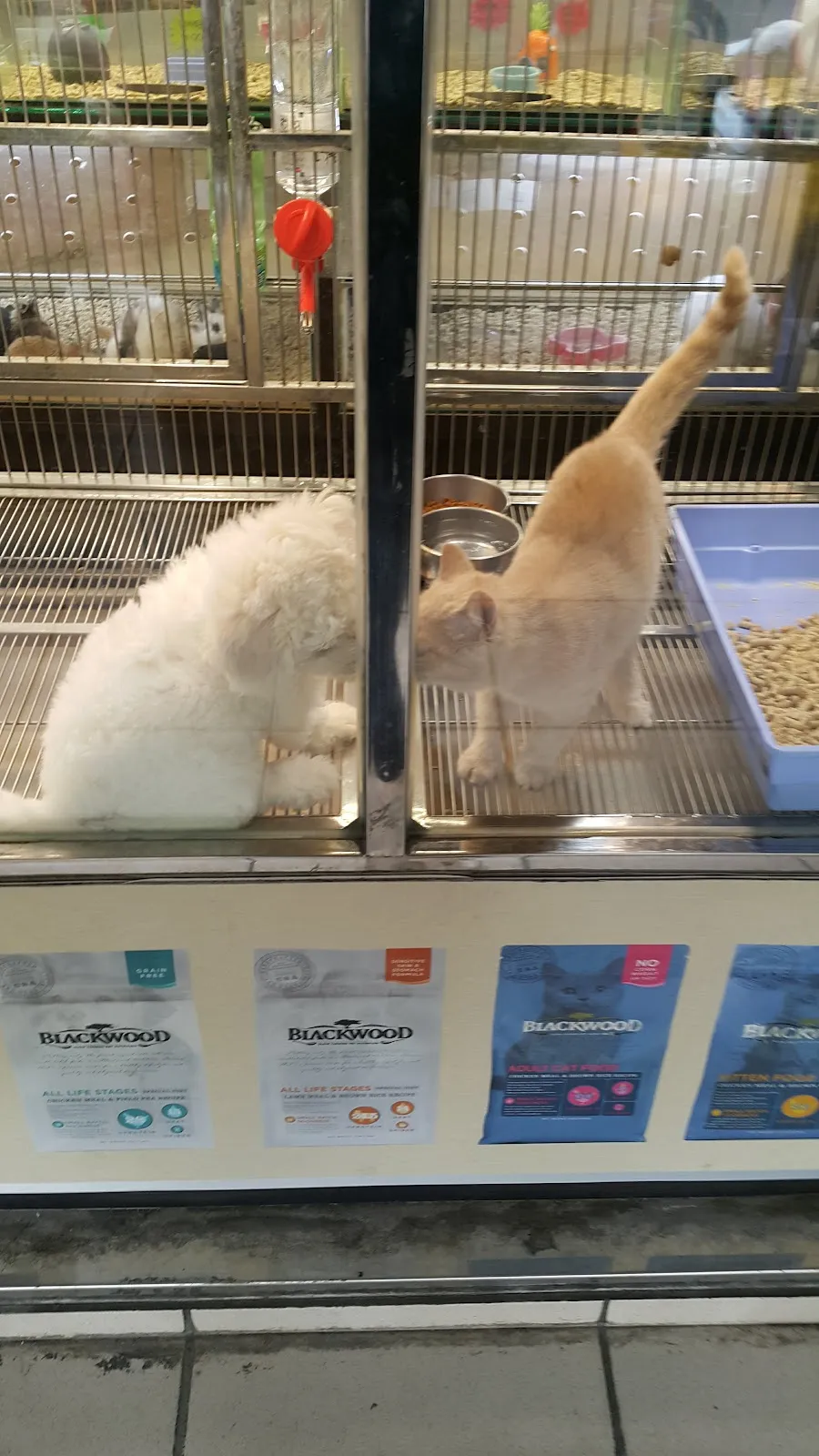 優逗寵物水族量販