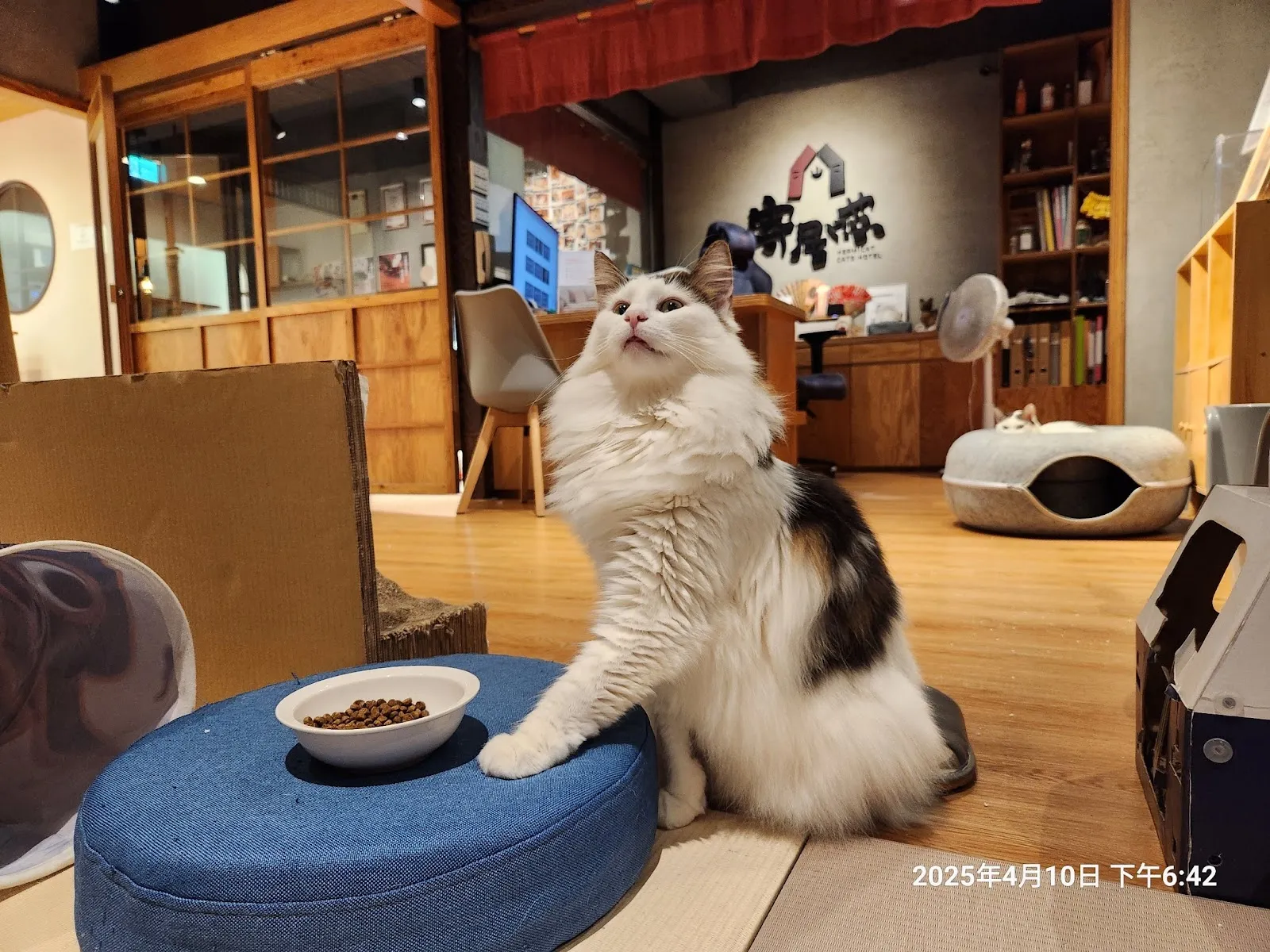 寄居喵精品貓宿