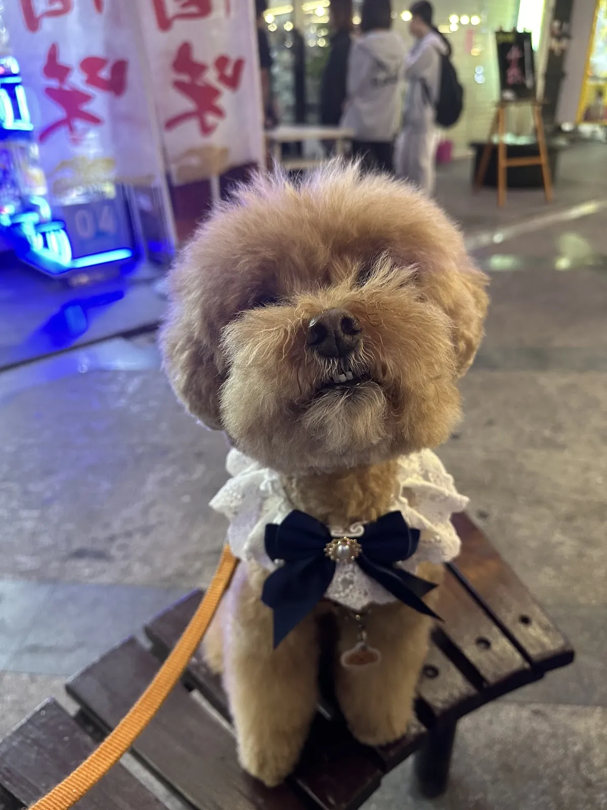 小時光寵物沙龍