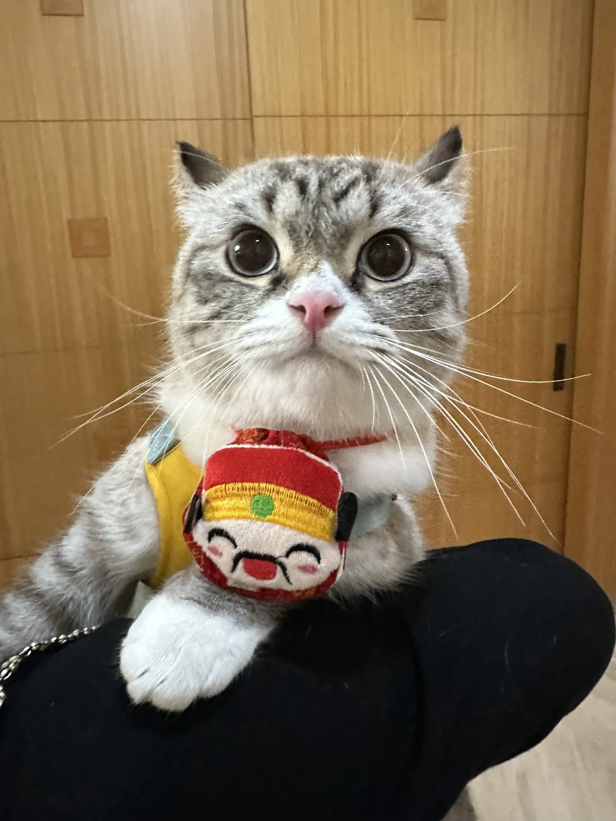 小時光寵物沙龍