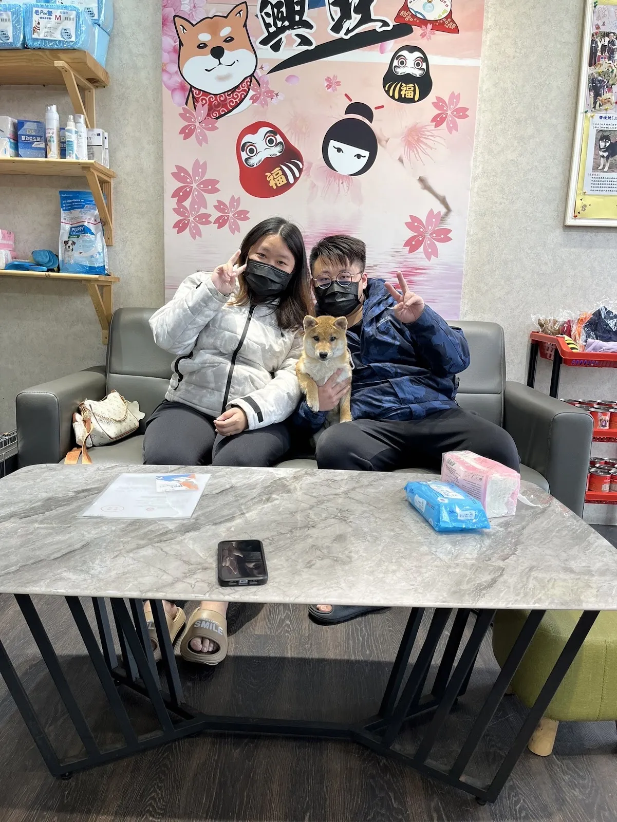 興旺日本柴犬專賣店