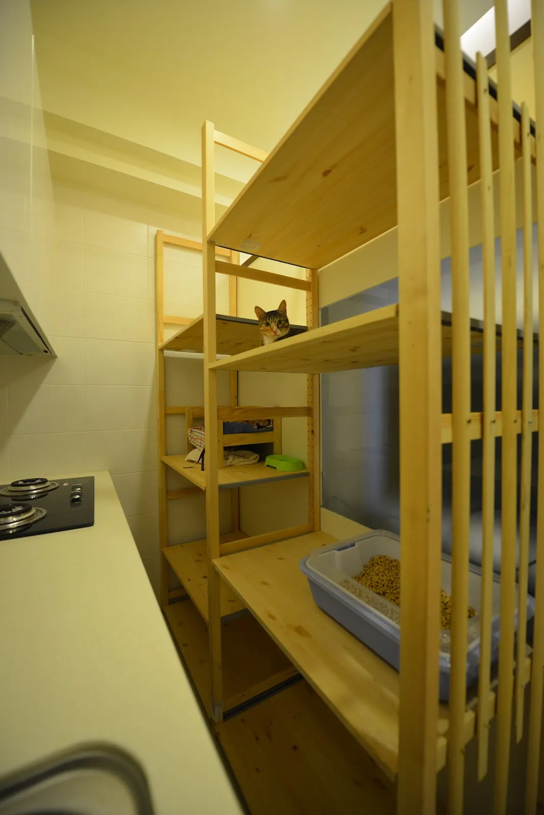 貓咪船長寵物旅館