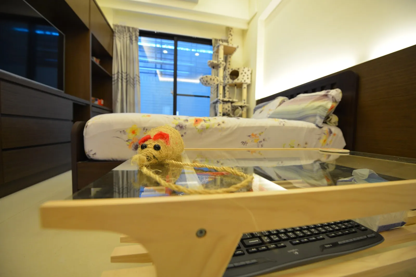 貓咪船長寵物旅館