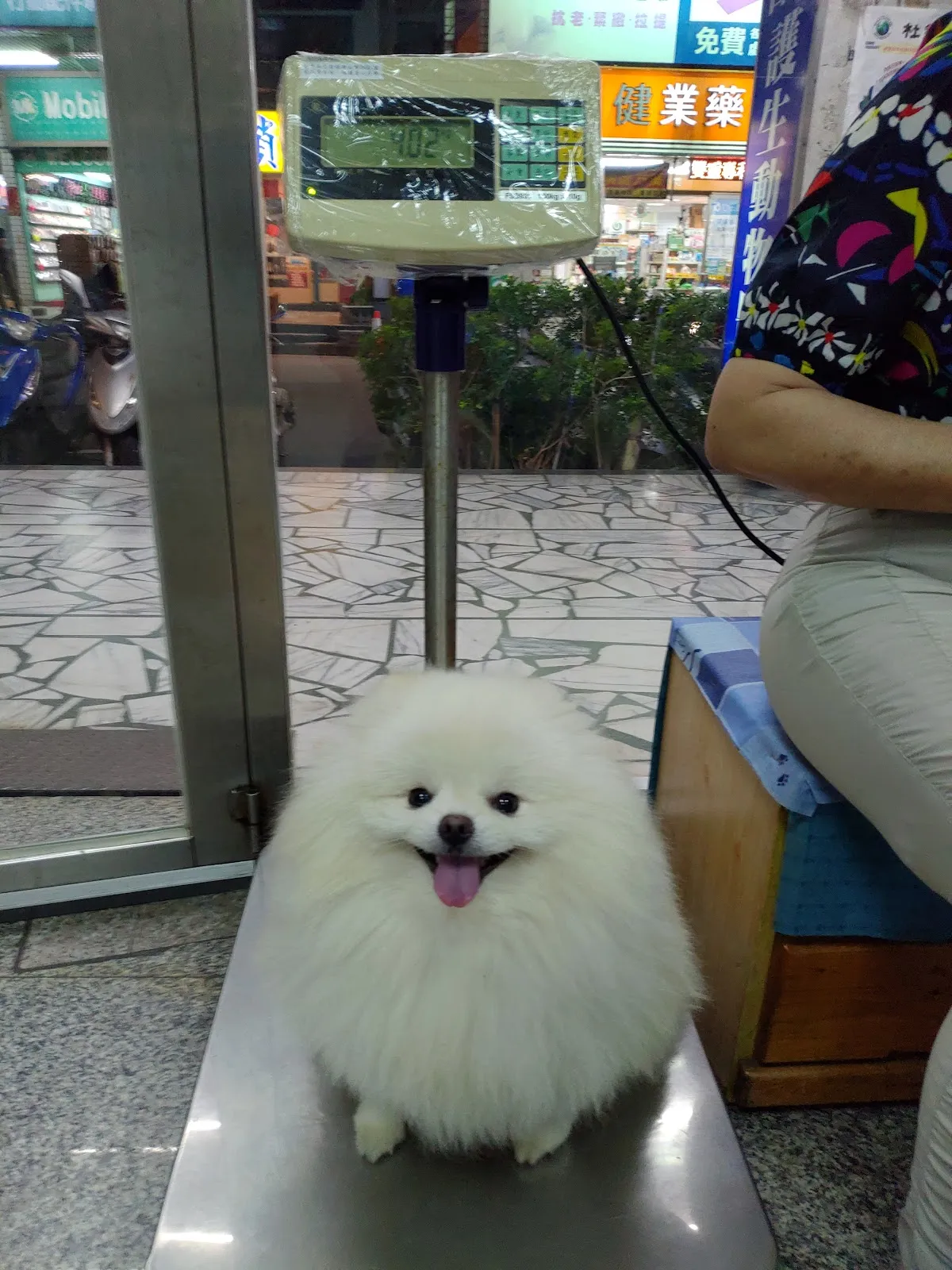 毛博事保健動物醫院