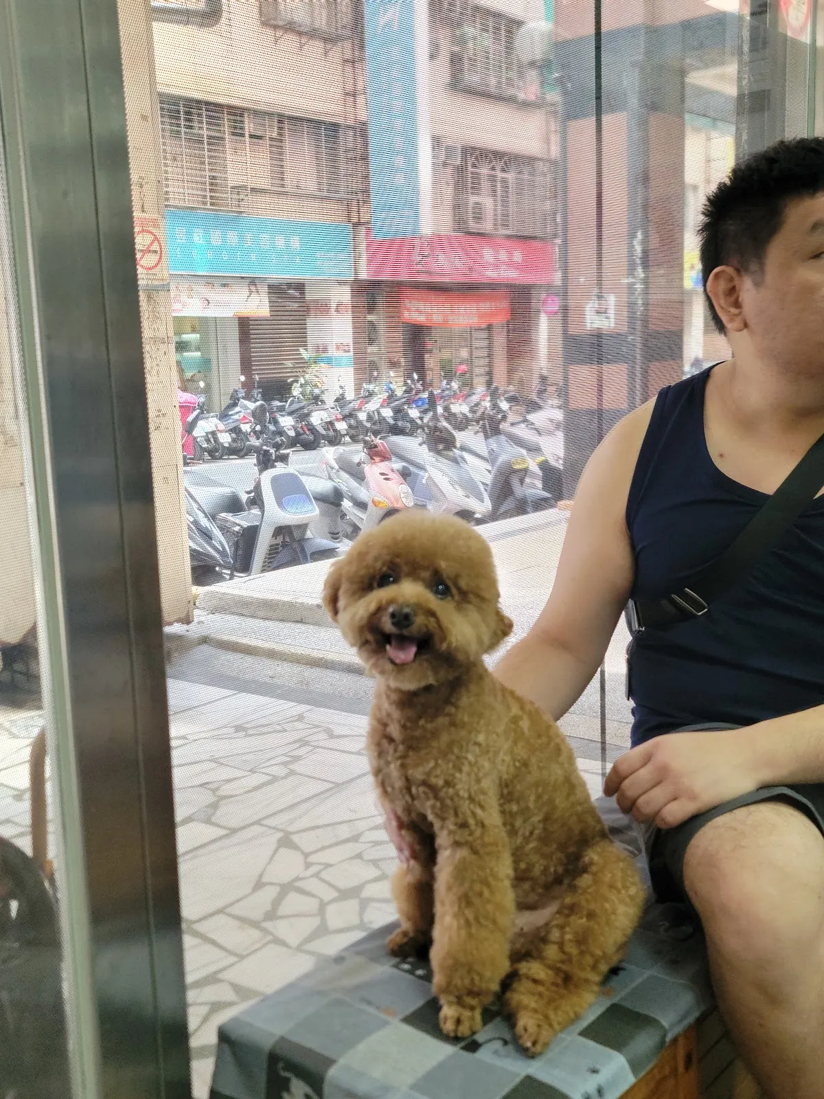 毛博事保健動物醫院