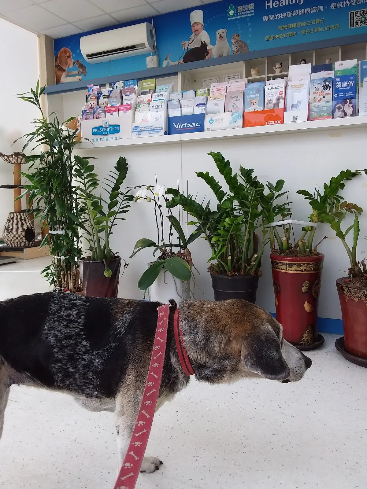 全美經國動物醫院