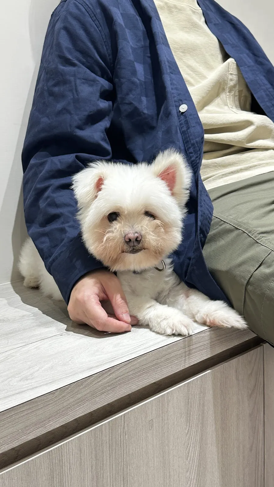 養憩犬貓專科診所