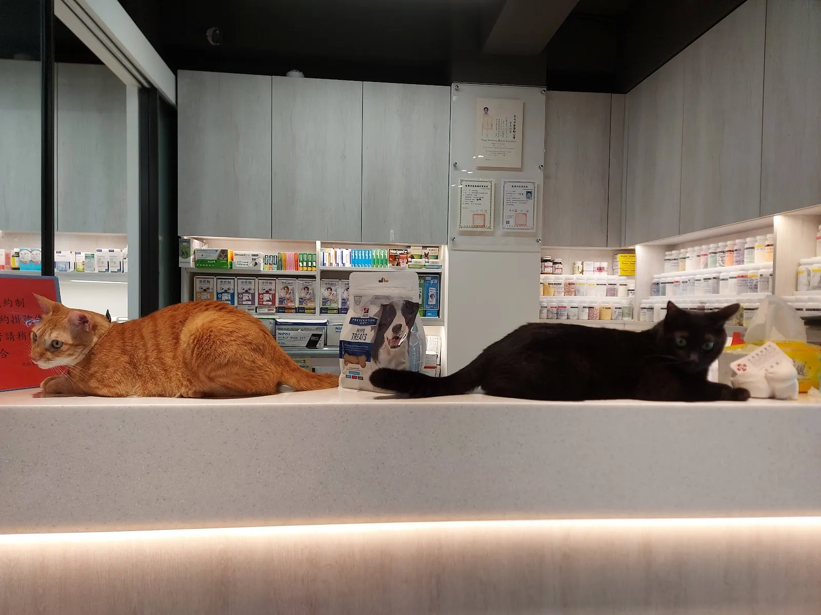 北投動物醫院