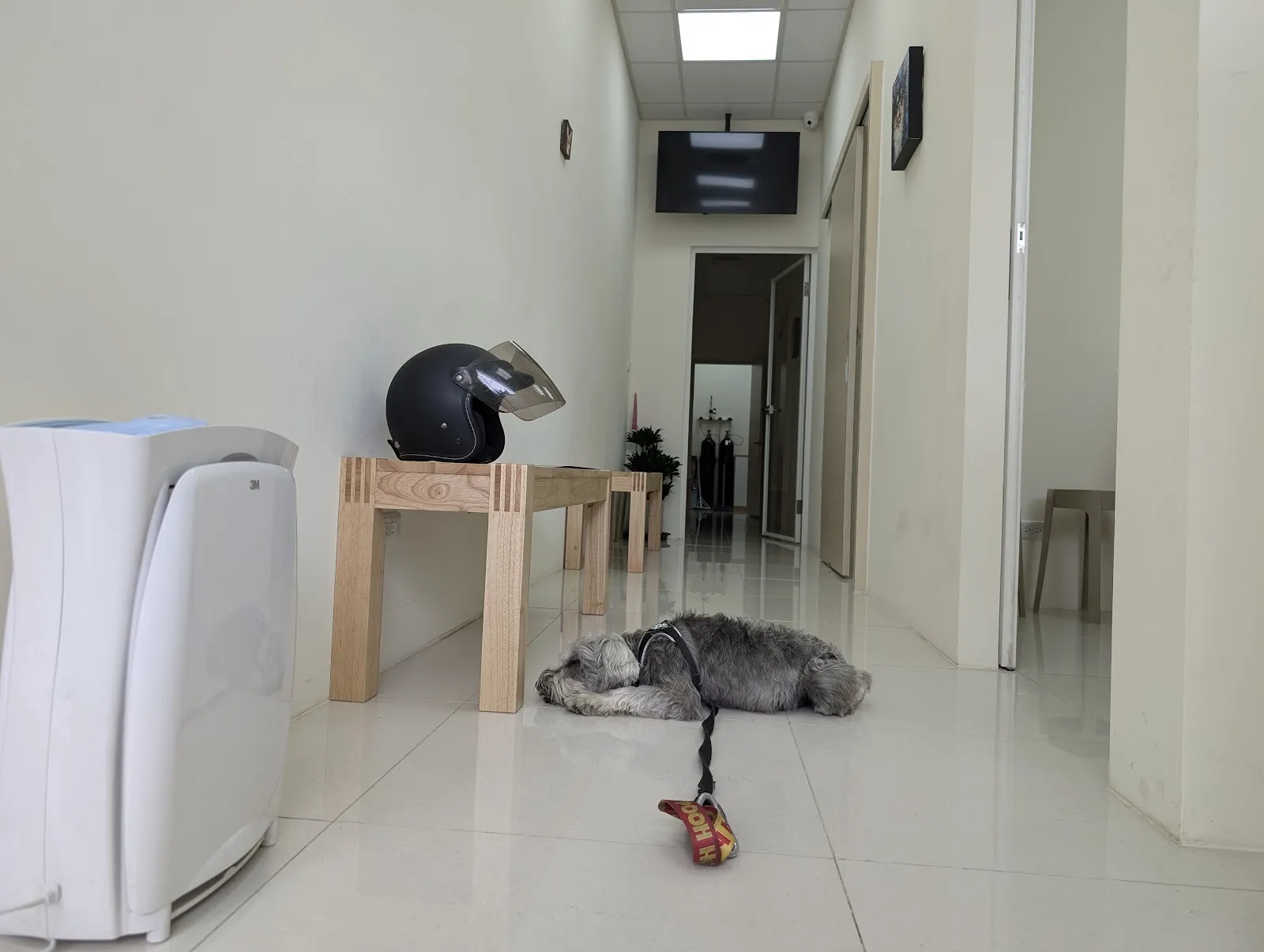 聯盟龜山萬壽動物醫院