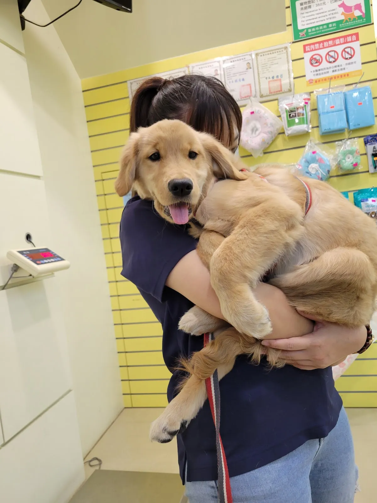 怡安啄木鳥動物醫院