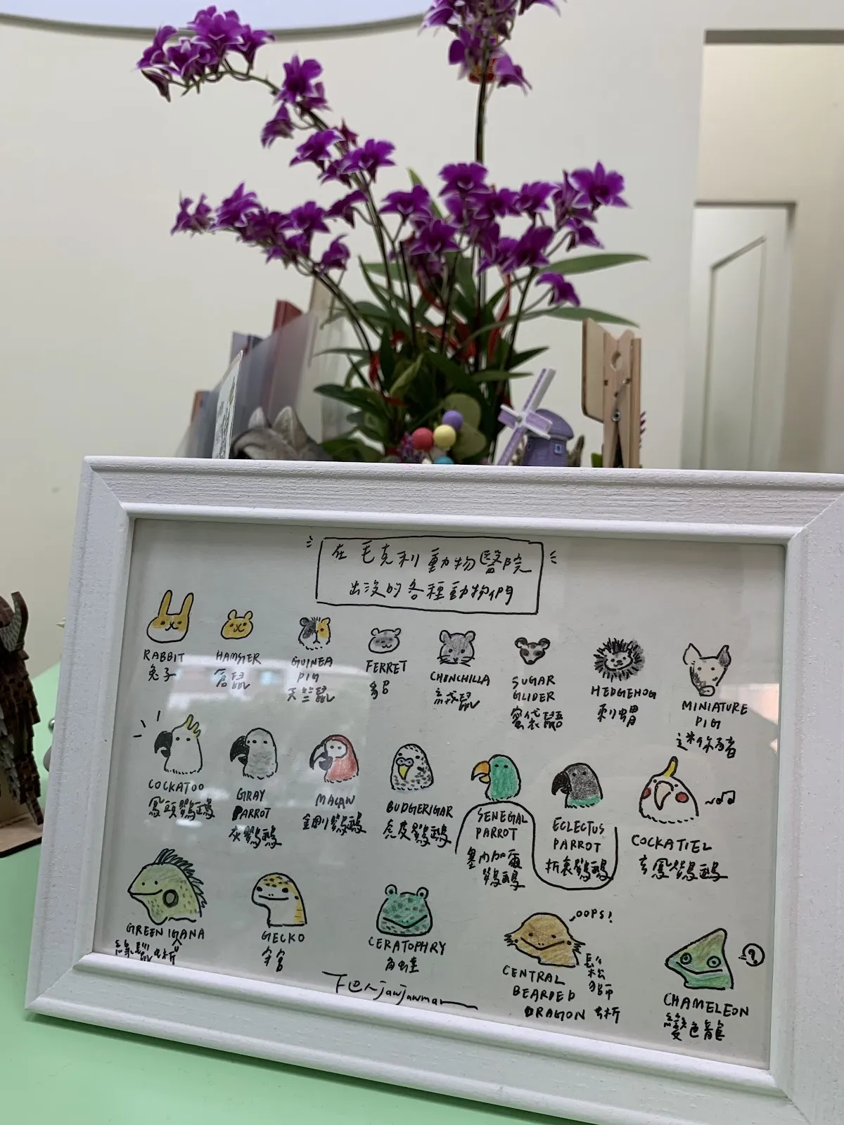 毛克利動物醫院