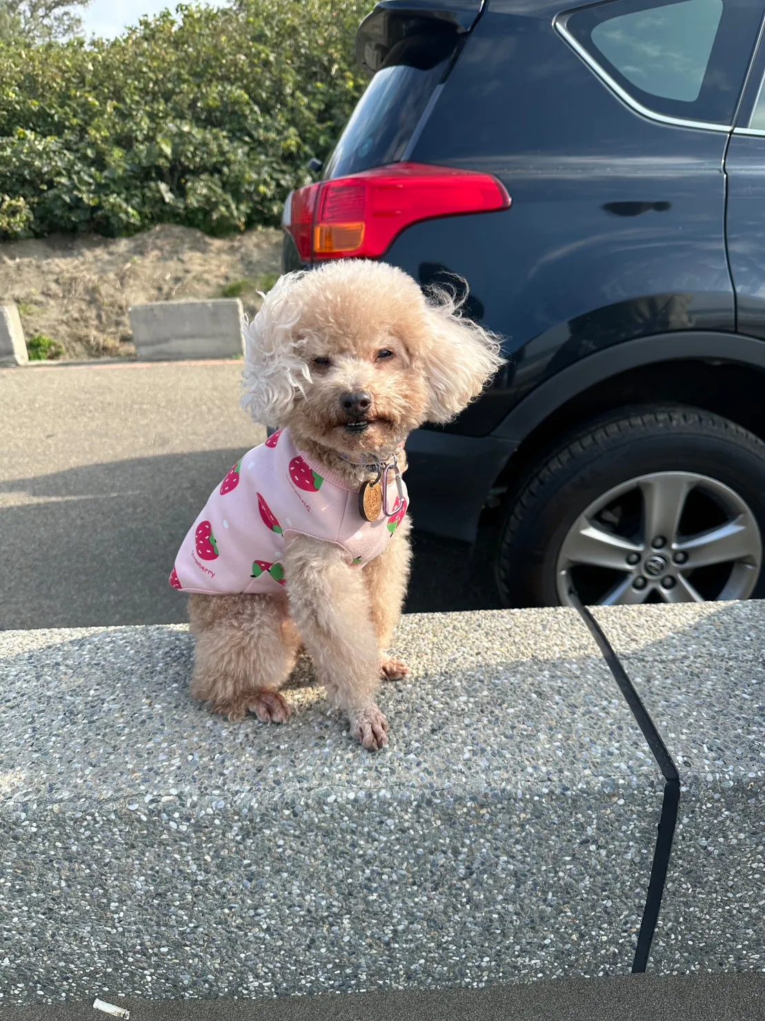 林獸醫動物診所