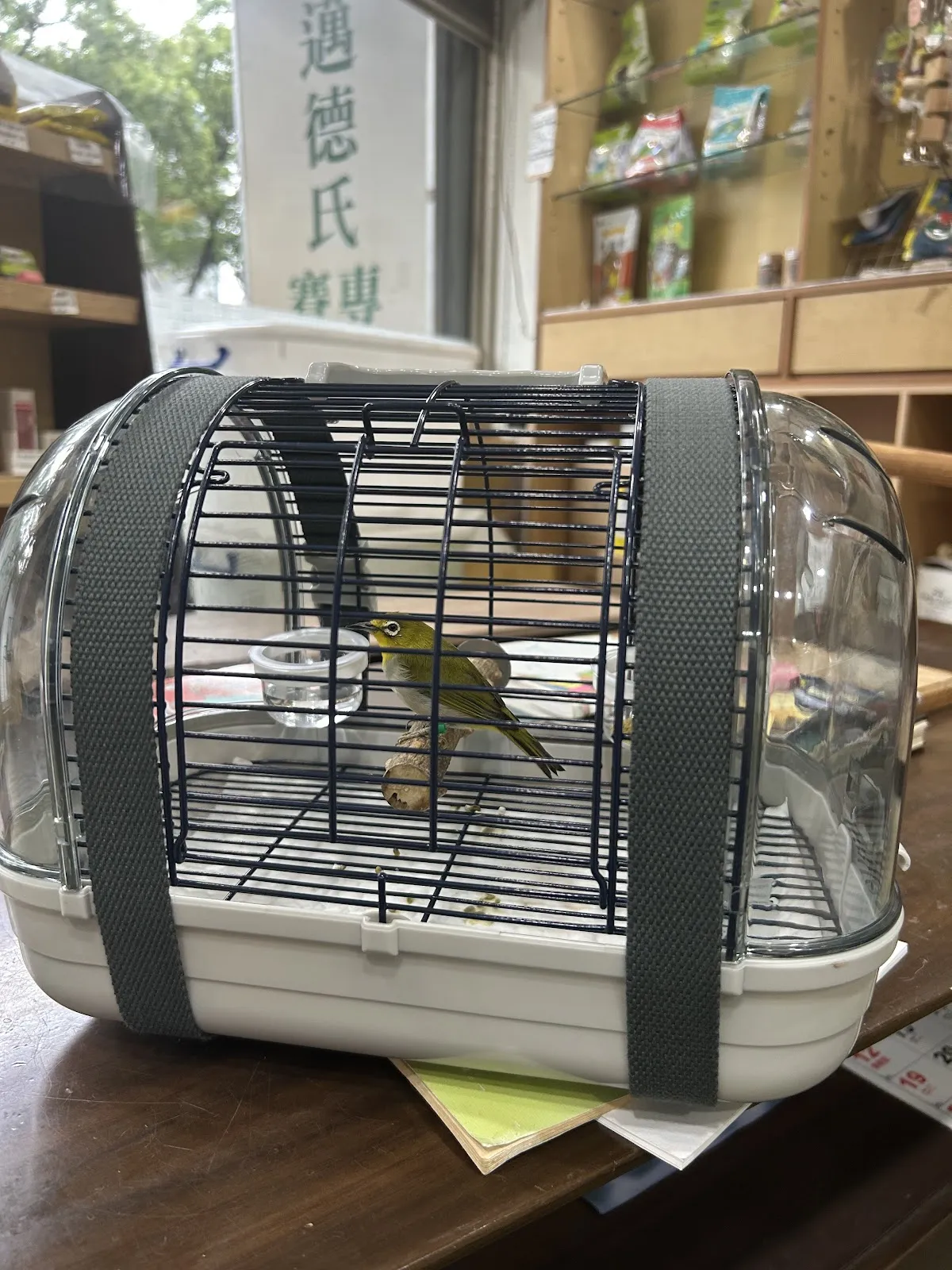 邁德氏賽鴿專科醫院