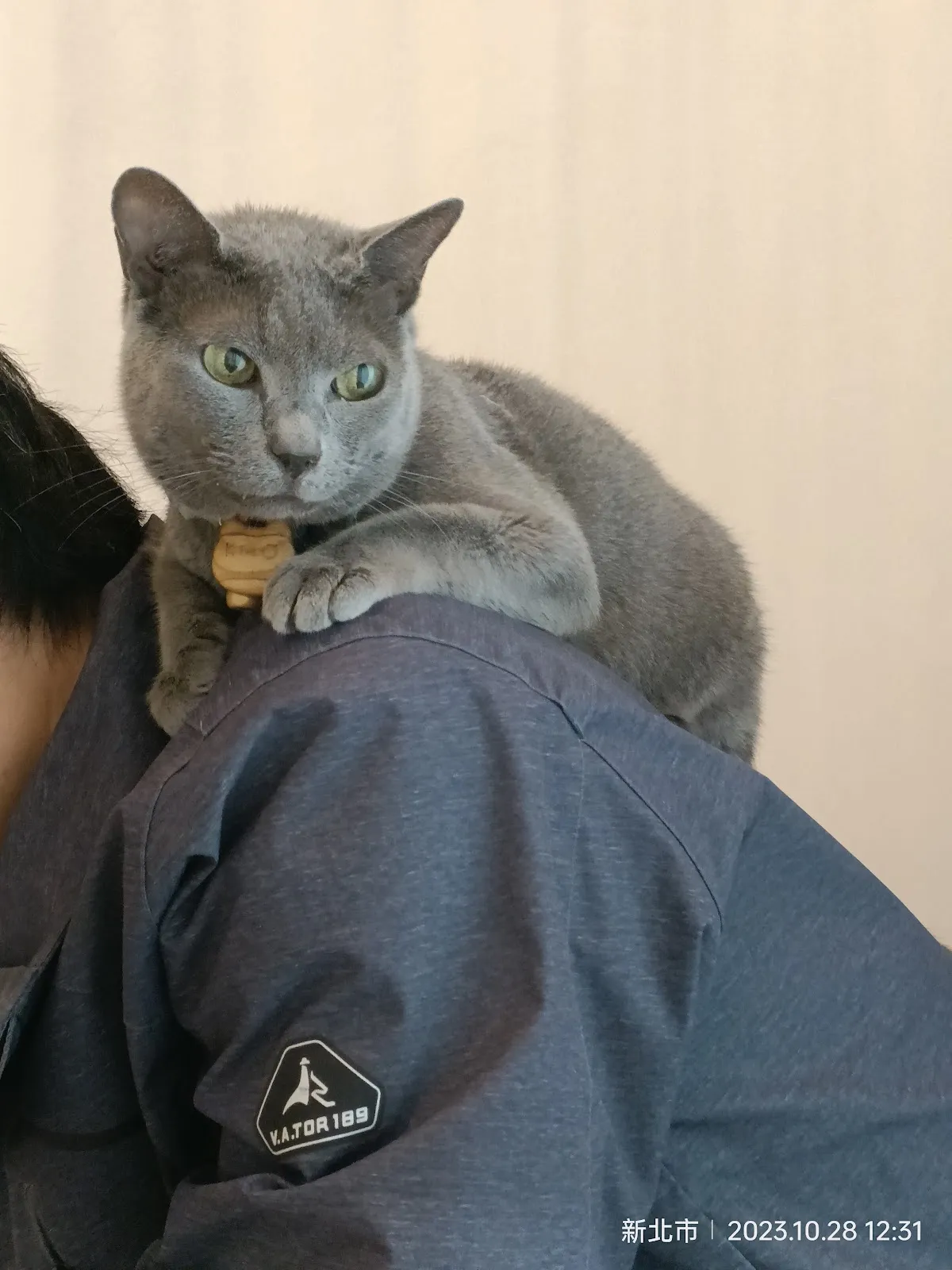 為了一隻狗開一家動物醫院