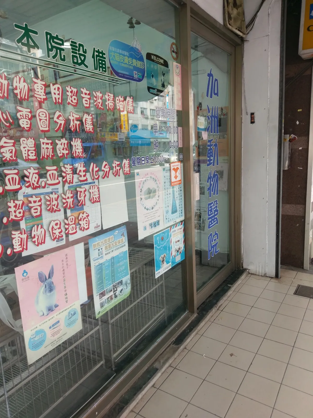 加洲動物醫院